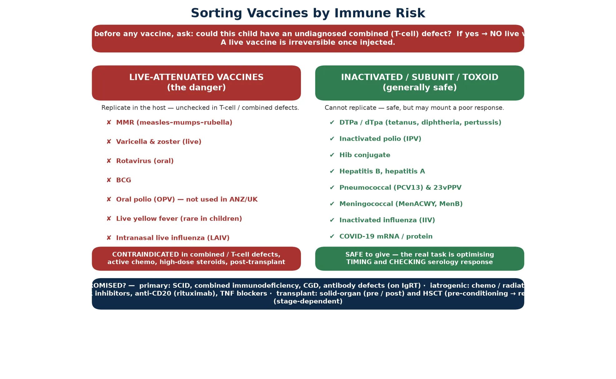 Threat gate banner excluding a combined T-cell defect before any live vaccine, then two columns splitting live-attenuated contraindicated vaccines (MMR, varicella, rotavirus, BCG, OPV, yellow fever, intranasal influenza) from safe inactivated and subunit vaccines, with a footer listing primary, iatrogenic, transplant and HIV immunocompromised groups