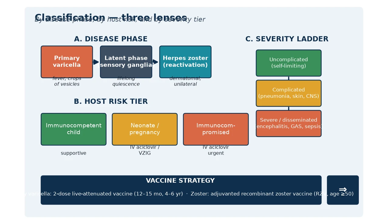 Three-panel schematic of varicella-zoster classification: the primary-varicella-latency-zoster disease-phase timeline; the host-risk tiers (immunocompetent, neonate or pregnancy, immunocompromised); and a severity ladder from uncomplicated through complicated to severe or disseminated disease, with a vaccine-strategy footer
