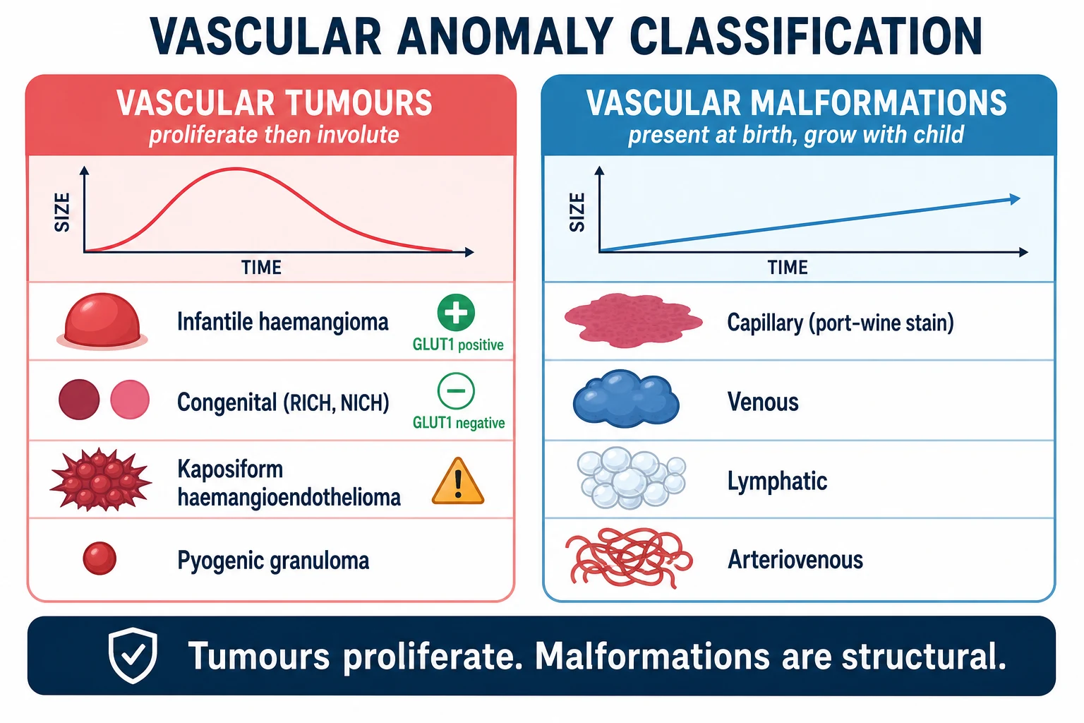 Three-panel schematic of vascular-birthmark classification: panel one vascular tumours with an infantile haemangioma tagged GLUT1 positive beside congenital haemangiomas RICH and NICH tagged GLUT1 negative and a kaposiform haemangioendothelioma cluster; panel two vascular malformations in a grid of capillary port-wine stain, venous, lymphatic and arteriovenous icons; panel three combined syndromes with a Sturge-Weber face and brain and a Klippel-Trenaunay swollen limb; a footer timeline contrasts tumours that grow fast then shrink against malformations that grow with the child