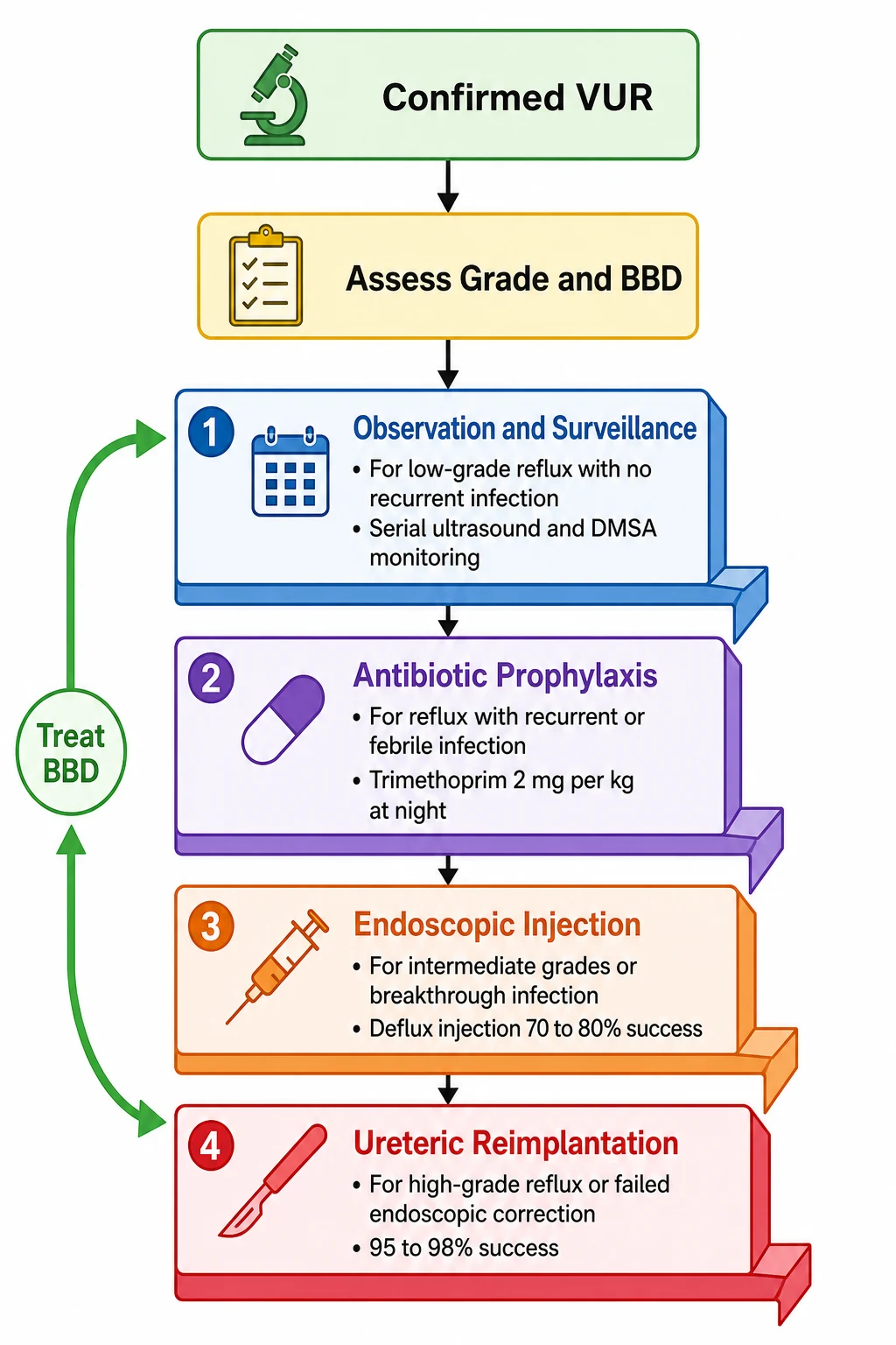 A medical-education flowchart on a white background showing the stepwise management ladder for a child with vesicoureteric reflux: a top green box for confirmed reflux with a microscope icon, branching to an assessment box in yellow for grade and bladder and bowel dysfunction with a checklist icon, then three descending steps shown as connected platforms from left to right, the first platform in blue labelled Observation and Surveillance with a calendar icon for low-grade reflux with no recurrent infection showing serial ultrasound and DMSA monitoring, the second platform in purple labelled Continuous Antibiotic Prophylaxis with a pill icon for reflux with recurrent or febrile infection showing trimethoprim at 2 mg per kg at night, the third platform in orange labelled Endoscopic Injection with a syringe icon for intermediate grades or breakthrough infection showing dextranomer hyaluronic acid Deflux injection with a 70 to 80 percent success rate per injection, and the bottom red platform labelled Ureteric Reimplantation with a scalpel icon for high-grade reflux or failed endoscopic correction showing a 95 percent success rate, with a green arrow loop on the left labelled treat bladder and bowel dysfunction running alongside all steps