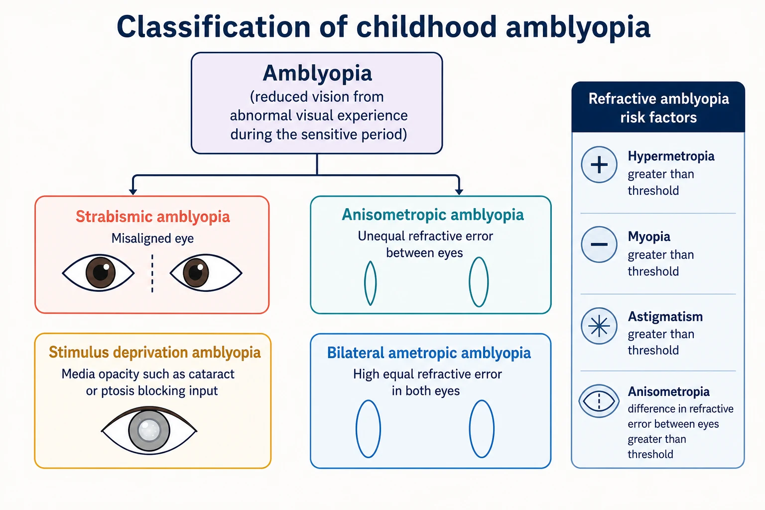 Educational classification flowchart dividing amblyopia into strabismic, anisometropic, stimulus-deprivation and bilateral ametropic types, with a banner of the refractive amblyopia risk factors