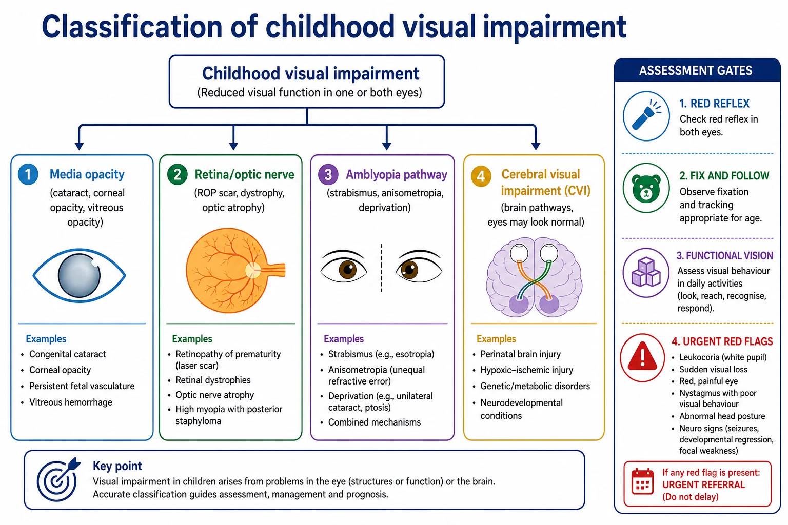 Four-box classification of childhood visual impairment: media opacity, retina or optic nerve disease, amblyopia pathway, and cerebral visual impairment, with assessment gates