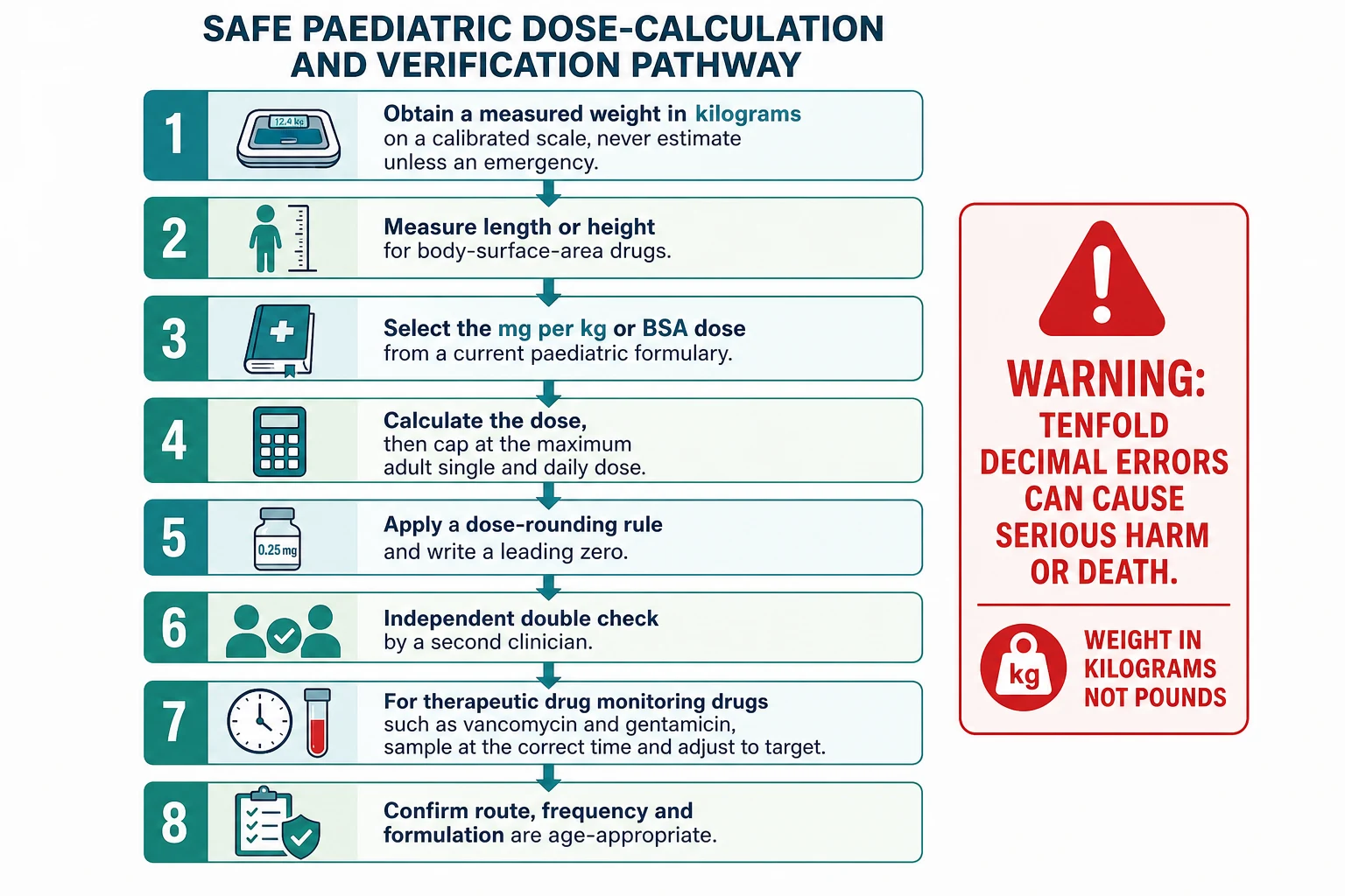Reviewed educational flowchart of the safe paediatric dose-calculation pathway as eight vertical steps: obtain a measured weight in kilograms on a calibrated scale; measure length or height for body-surface-area drugs; select the mg per kg or body-surface-area dose from a current paediatric formulary; calculate the dose then cap at the maximum adult single and daily dose; apply a dose-rounding rule and write a leading zero; independent double check by a second clinician; for therapeutic drug monitoring drugs such as vancomycin and gentamicin sample at the correct time and adjust to target; confirm route, frequency and formulation are age-appropriate. A red side-callout warns of tenfold decimal errors and weight in kilograms not pounds.