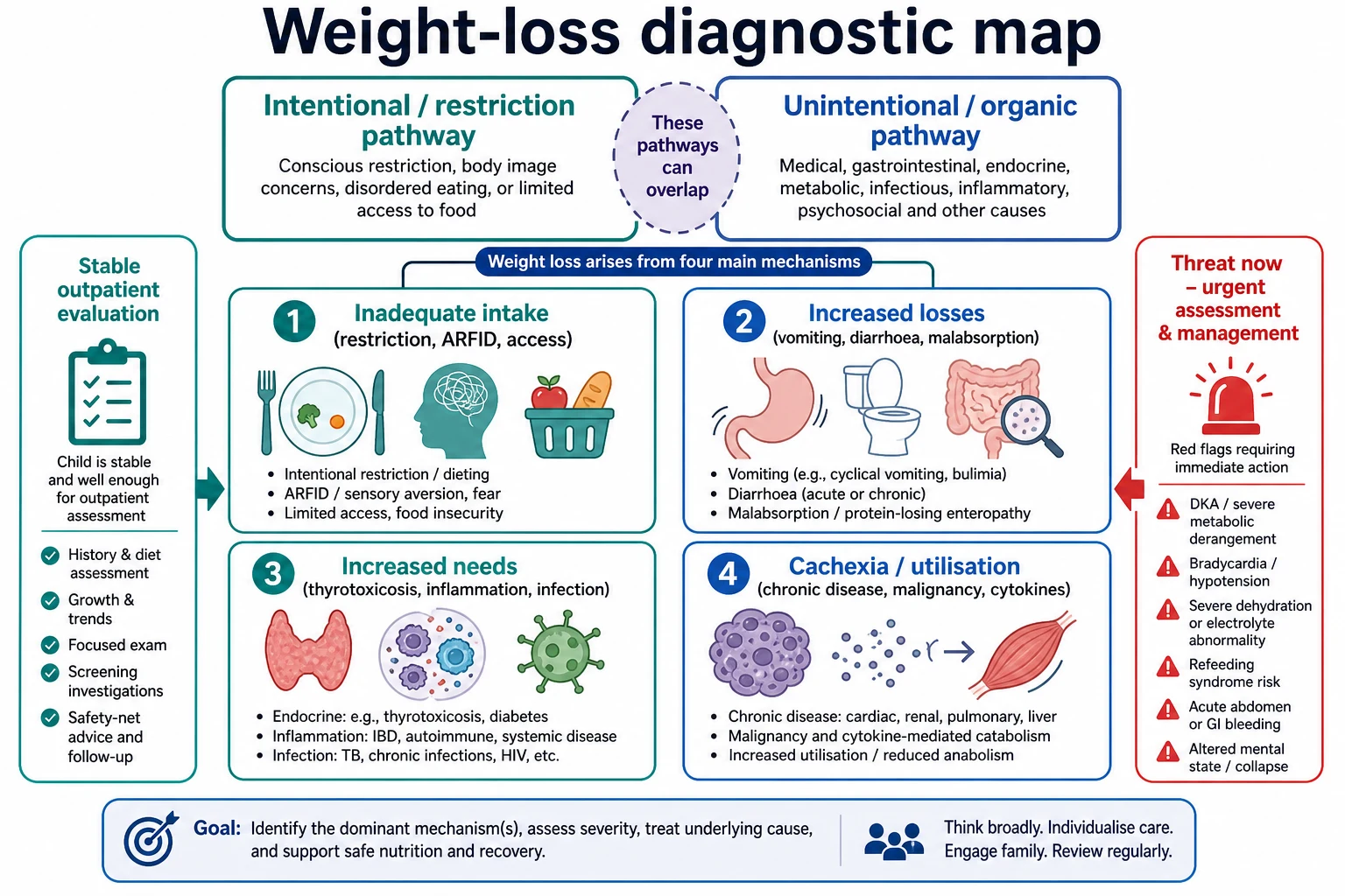 Diagnostic map showing intentional versus unintentional weight-loss framing and four mechanism buckets with severity gates