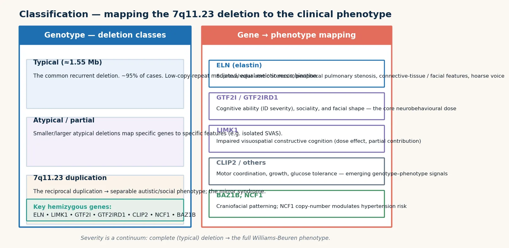 Four columns showing the deletion types of the 7q11.23 region — typical 1.5-1.8 Mb deletion, larger atypical deletion, smaller atypical deletion, and isolated ELN-region loss — each with gene content, cardiovascular burden, cognitive profile, and inheritance note, with a footer naming chromosomal microarray as first-line and FISH as confirmatory
