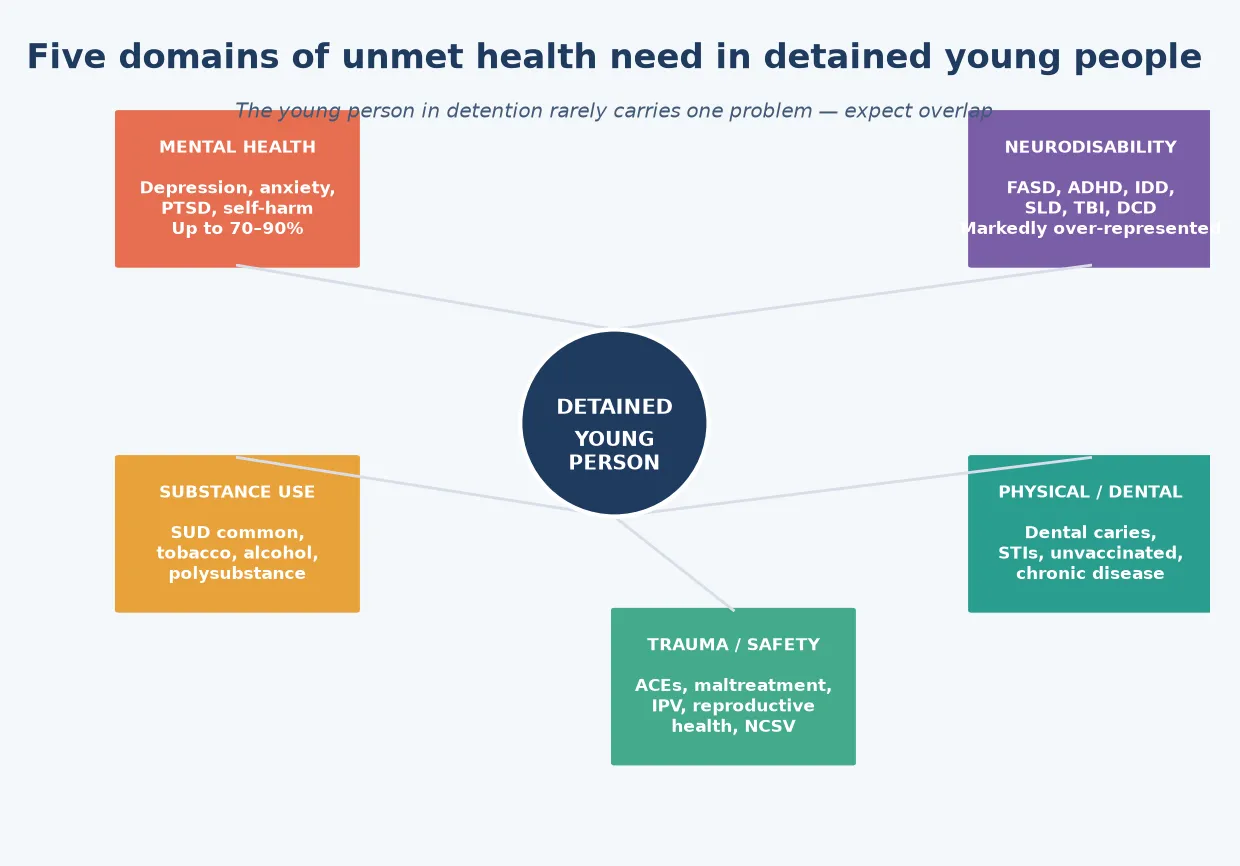Five-domain hub diagram of unmet health need in detained young people — mental health, neurodisability, substance use, physical and dental health, and trauma and safety — radiating from a central young person, emphasising overlap