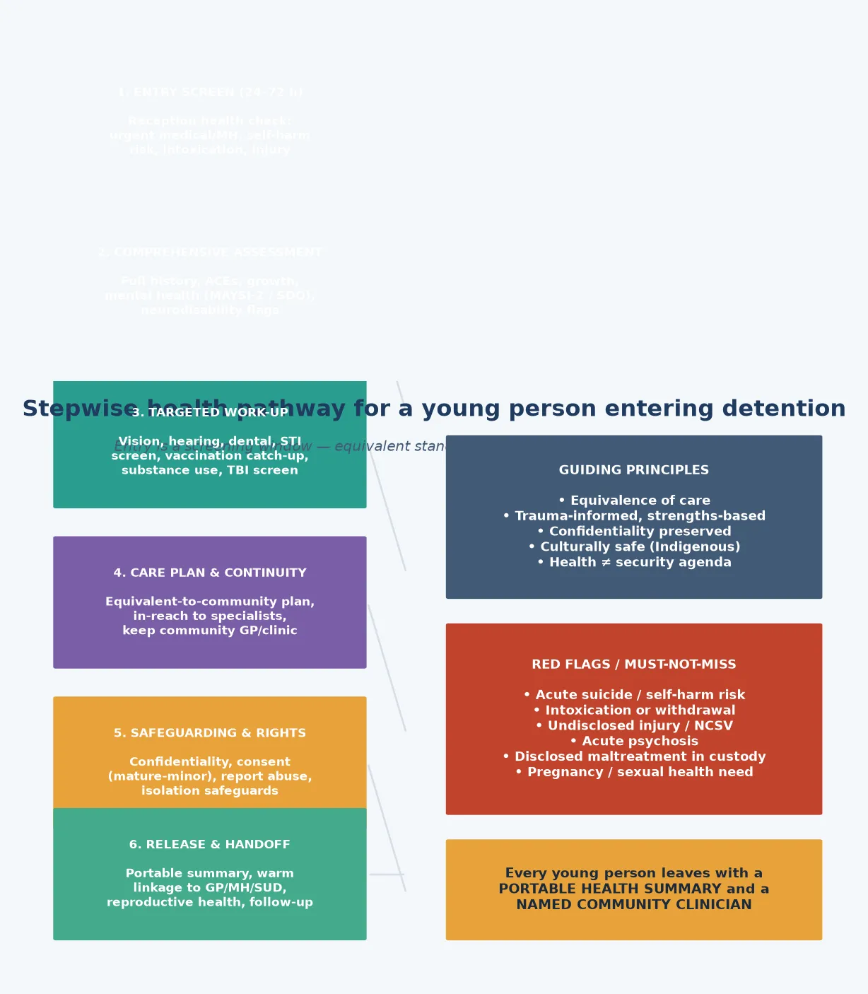 Stepwise health pathway from entry screen through comprehensive assessment, targeted work-up, care plan, safeguarding, and release handoff, with guiding principles and red-flag panels alongside