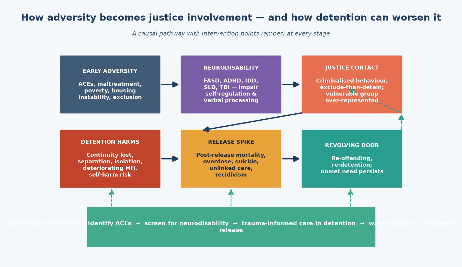 Causal pathway diagram from early adversity through neurodisability to justice contact, with detention harms, the post-release mortality spike, and the revolving door — intervention points marked in amber and green