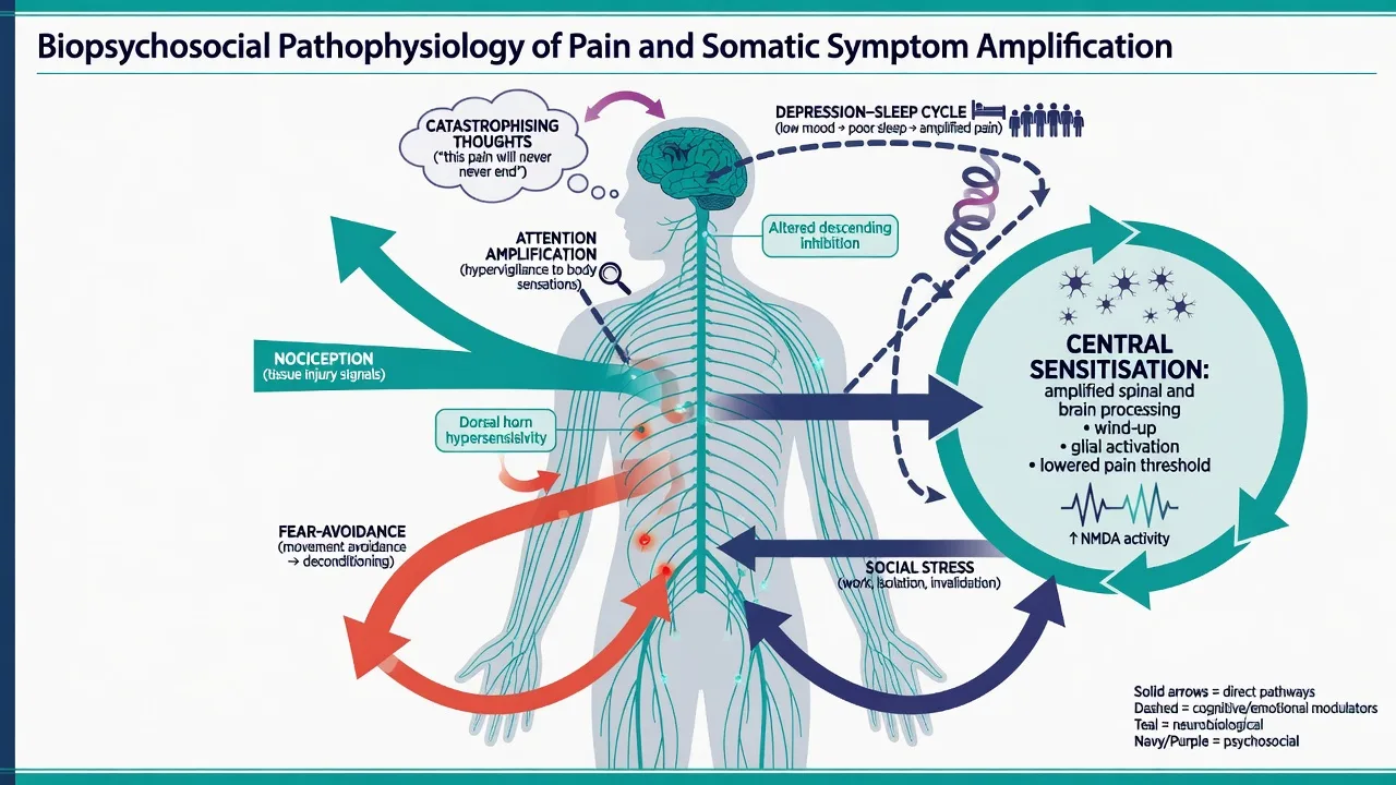 Biopsychosocial diagram of nociception, attentional amplification, catastrophising, fear-avoidance, and depression-sleep loops in chronic pain and somatic symptoms