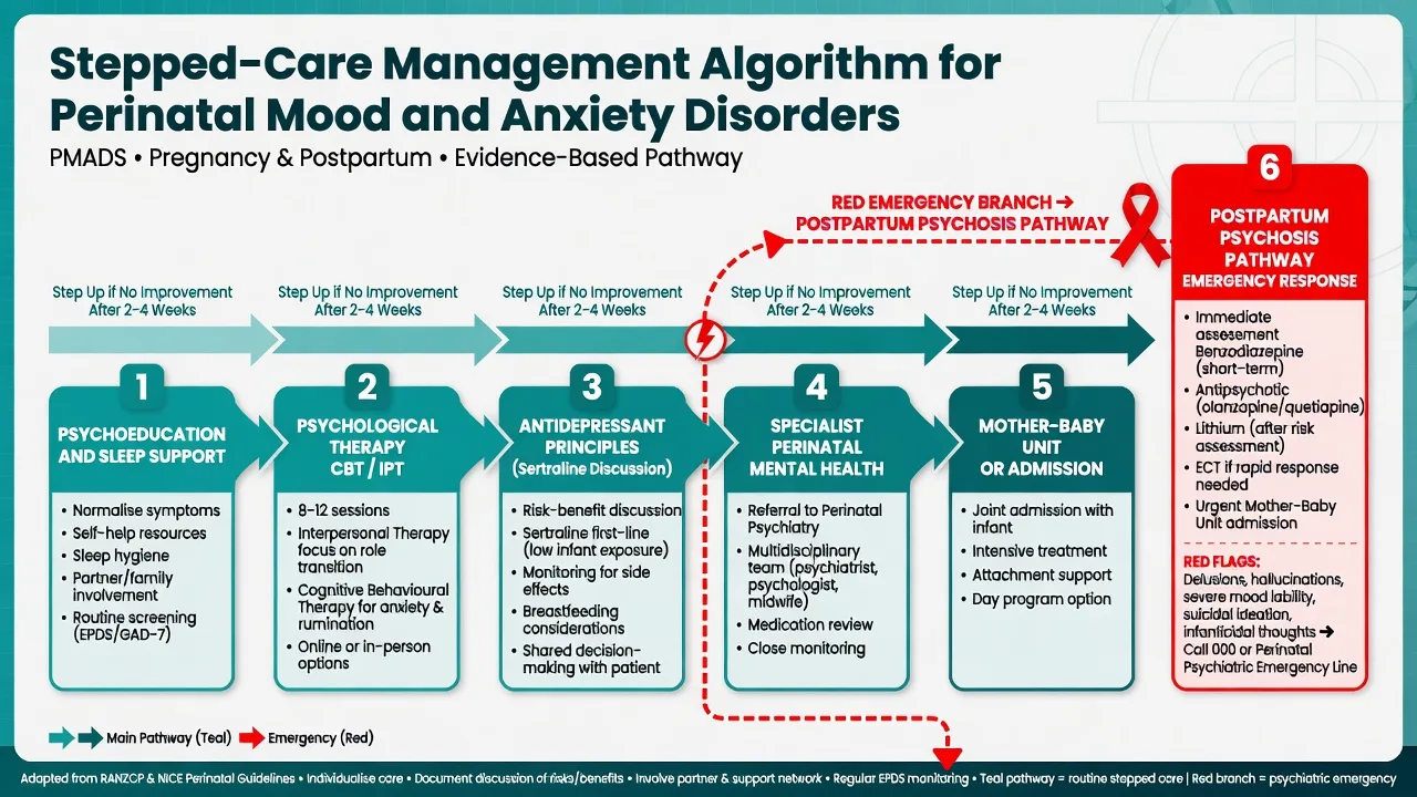 Stepped care from psychoeducation through therapy and medication to mother-baby unit and psychosis emergency branch