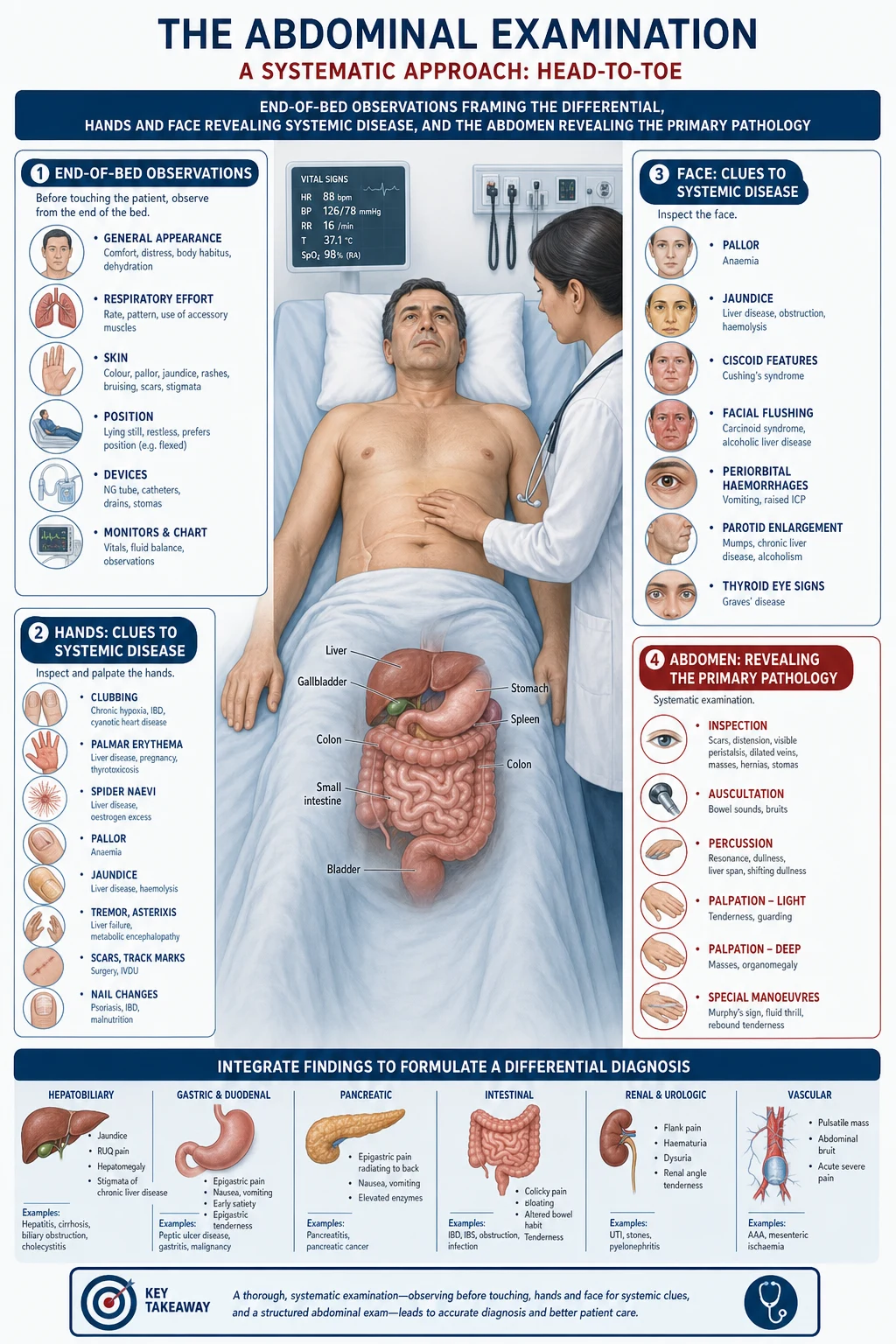 The abdominal examination as a head-to-toe systematic routine: the end of the bed frames the differential, the hands and face reveal systemic disease, and the abdomen itself reveals the primary pathology — liver, spleen, aorta, fluid, masses and peritonism