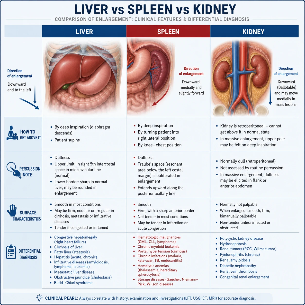 Side-by-side comparison of liver, spleen, and kidney: direction of enlargement, ability to palpate above the mass, percussion note, surface characteristics, respiratory movement, ballotability, and the differential diagnosis for each organ