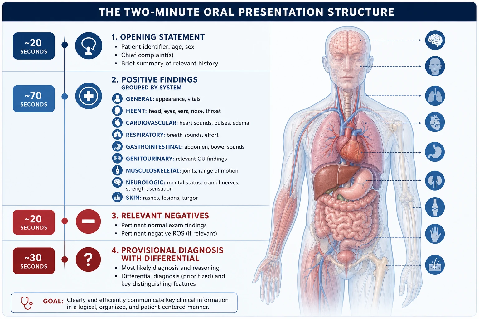 The two-minute oral presentation structure: opening statement, positive findings grouped by region, relevant negatives, and the provisional diagnosis with the differential