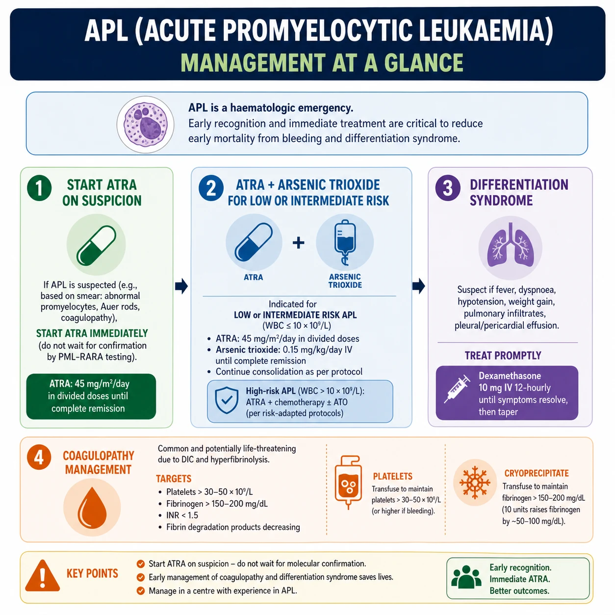APL emergency algorithm — ATRA plus arsenic with coagulopathy correction and differentiation syndrome
