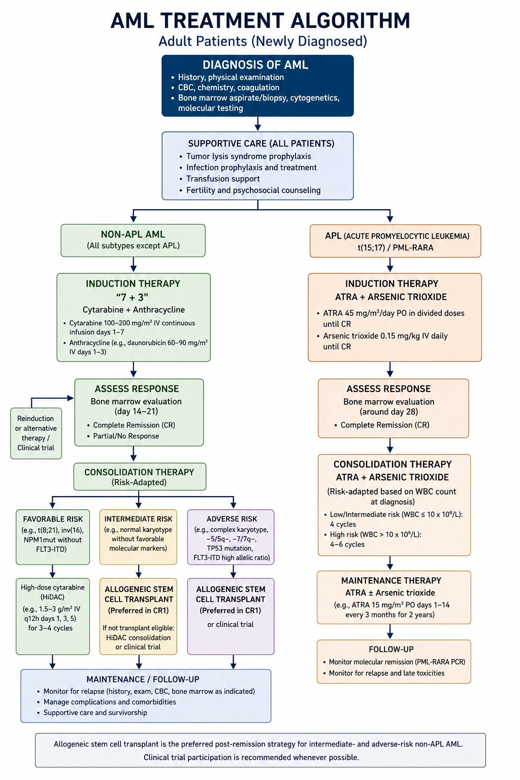 AML treatment algorithm — induction through consolidation to allogeneic stem cell transplant by risk group