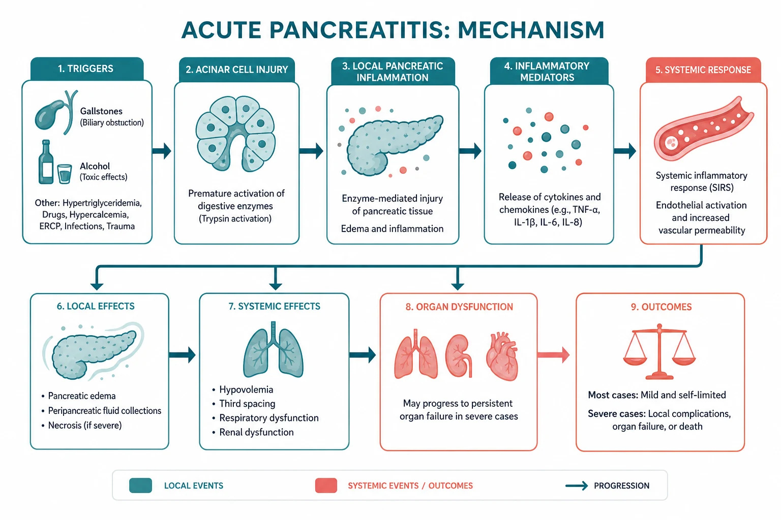 Pathophysiology for acute pancreatitis
