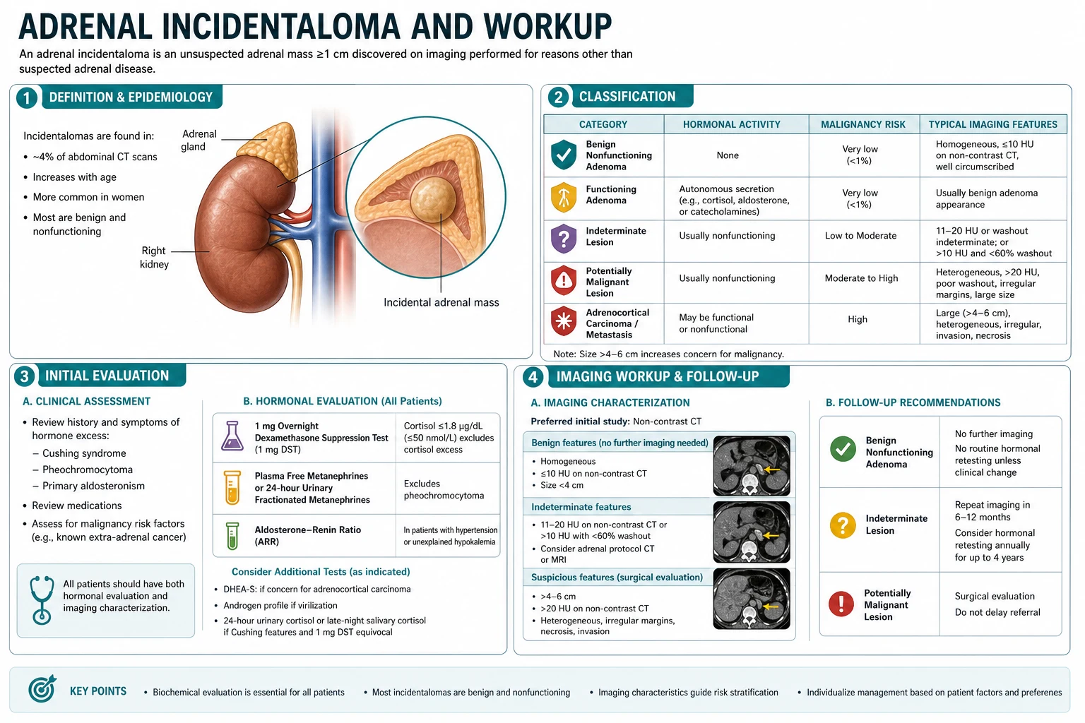 Classification diagram for Adrenal Incidentaloma AND Workup.