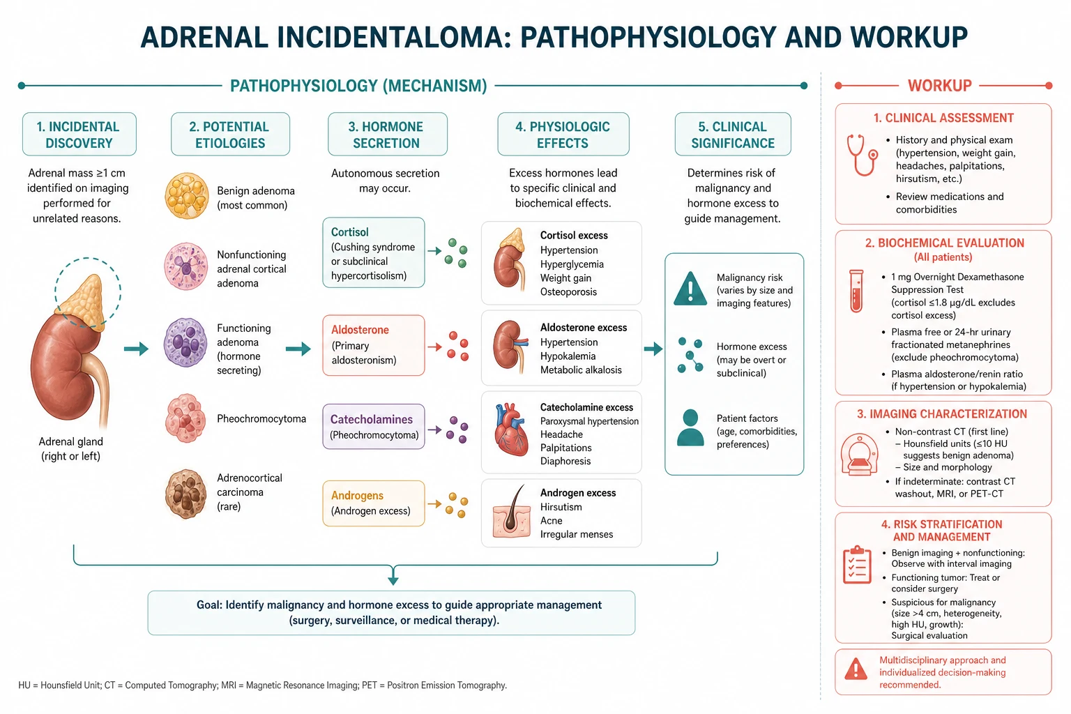 Pathophysiology mechanism diagram for Adrenal Incidentaloma AND Workup.
