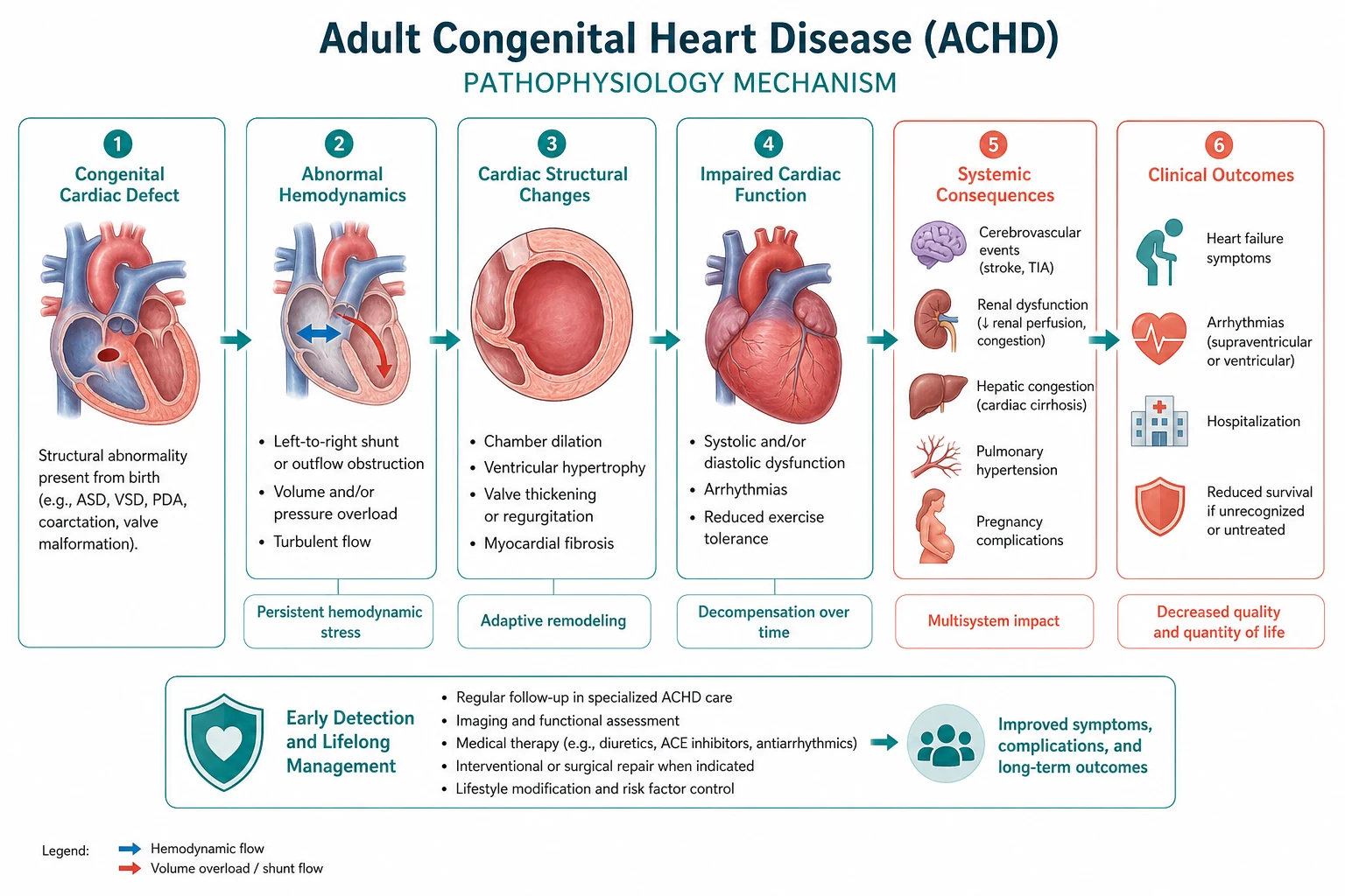 Pathophysiology mechanism diagram for Adult Congenital Heart Disease.