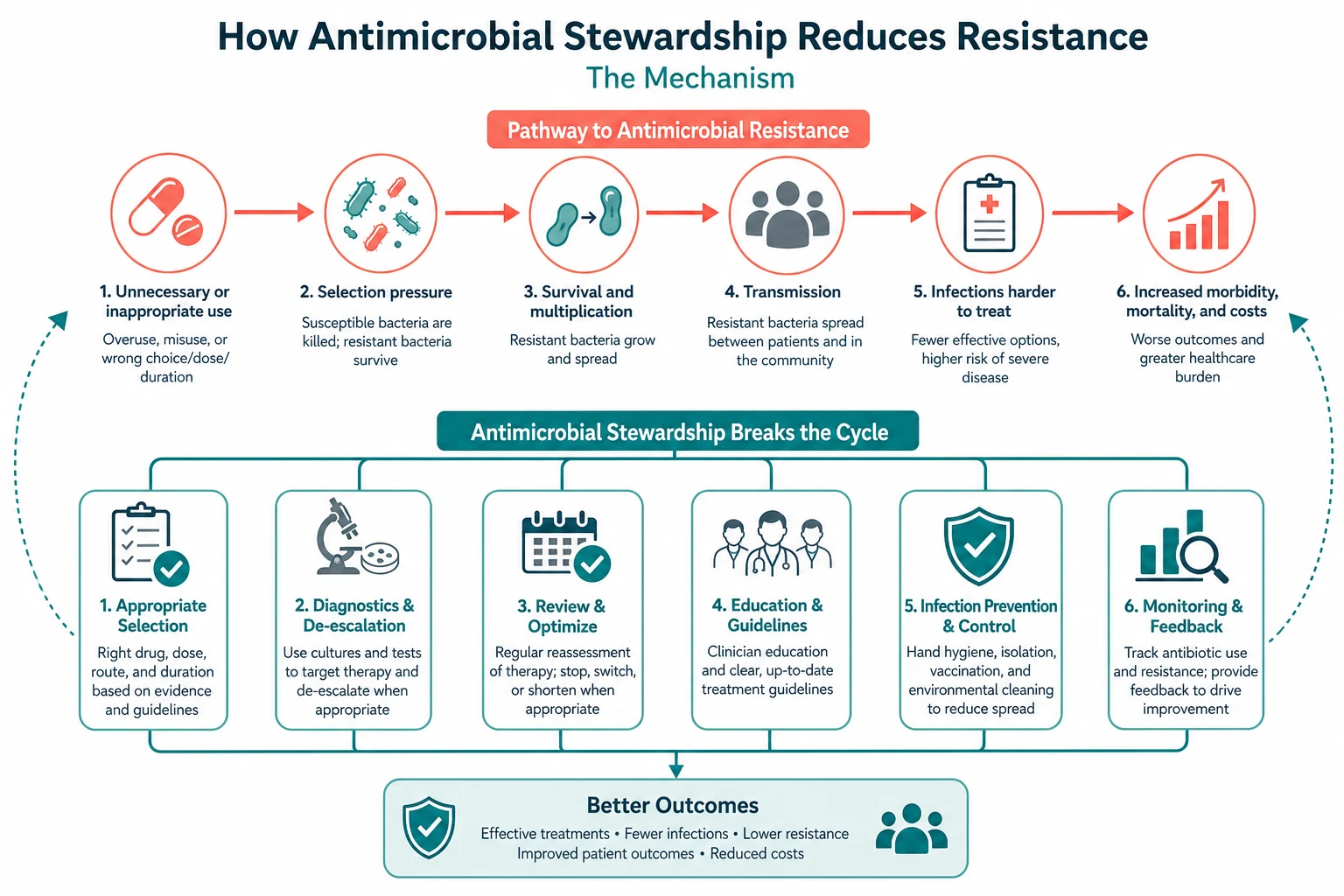 Pathophysiology of antimicrobial stewardship resistance