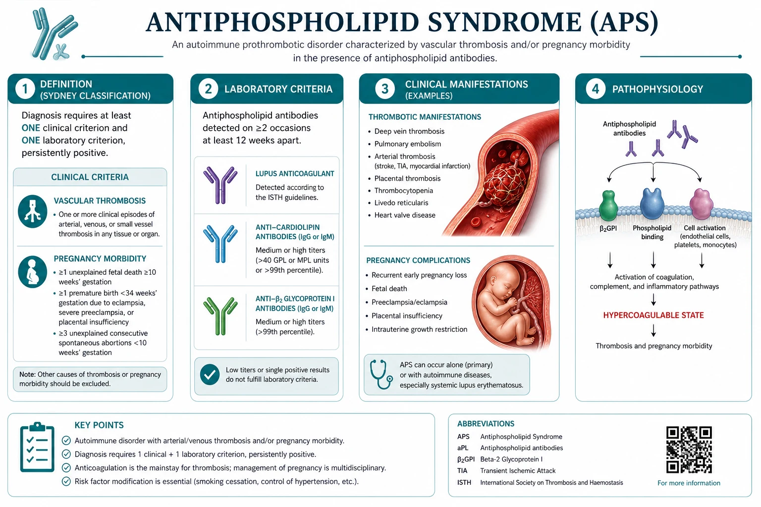 Classification diagram for Antiphospholipid Syndrome.