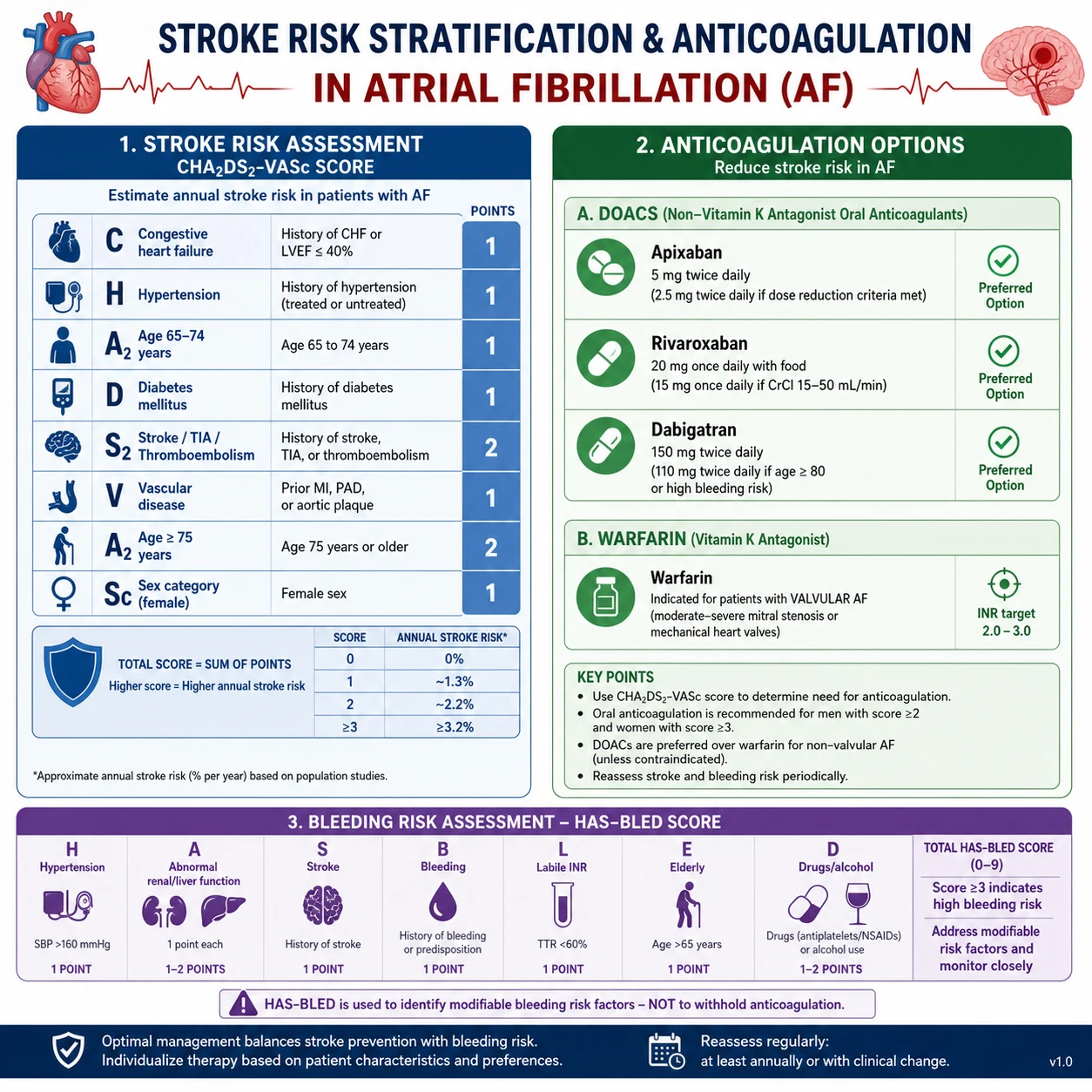 Anticoagulation decision pathway — CHA₂DS₂-VASc scoring, HAS-BLED assessment, and DOAC vs warfarin selection