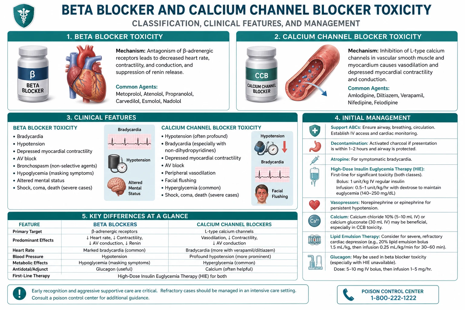 Classification diagram for Beta Blocker AND Calcium Channel Blocker Toxicity.