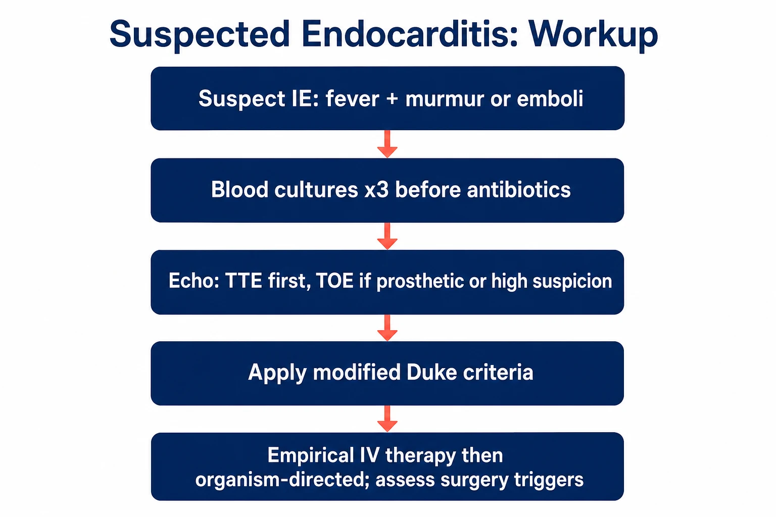 Workup and management algorithm for suspected infective endocarditis: cultures, echo, Duke criteria, therapy