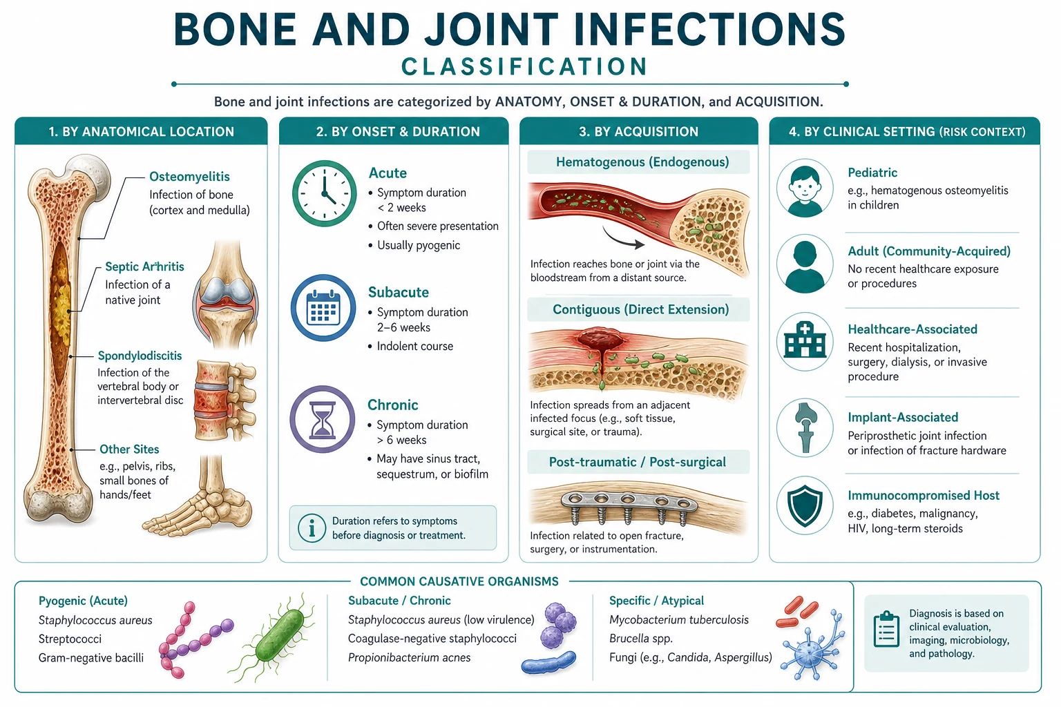 Classification diagram for Bone AND Joint Infections.