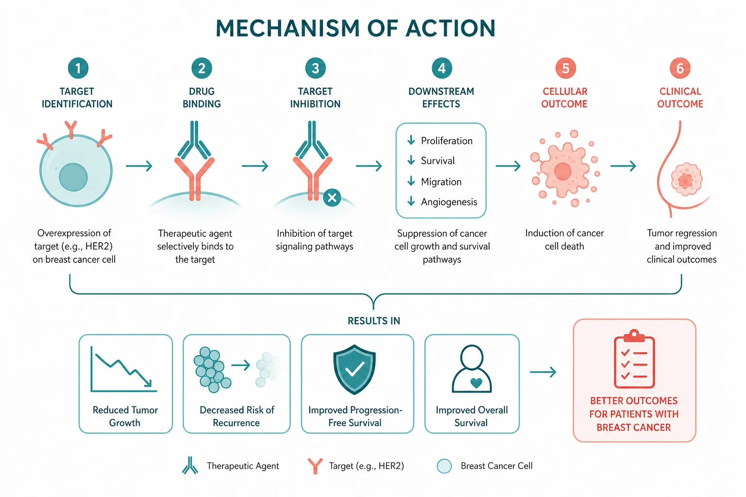 Pathophysiology for breast cancer physician