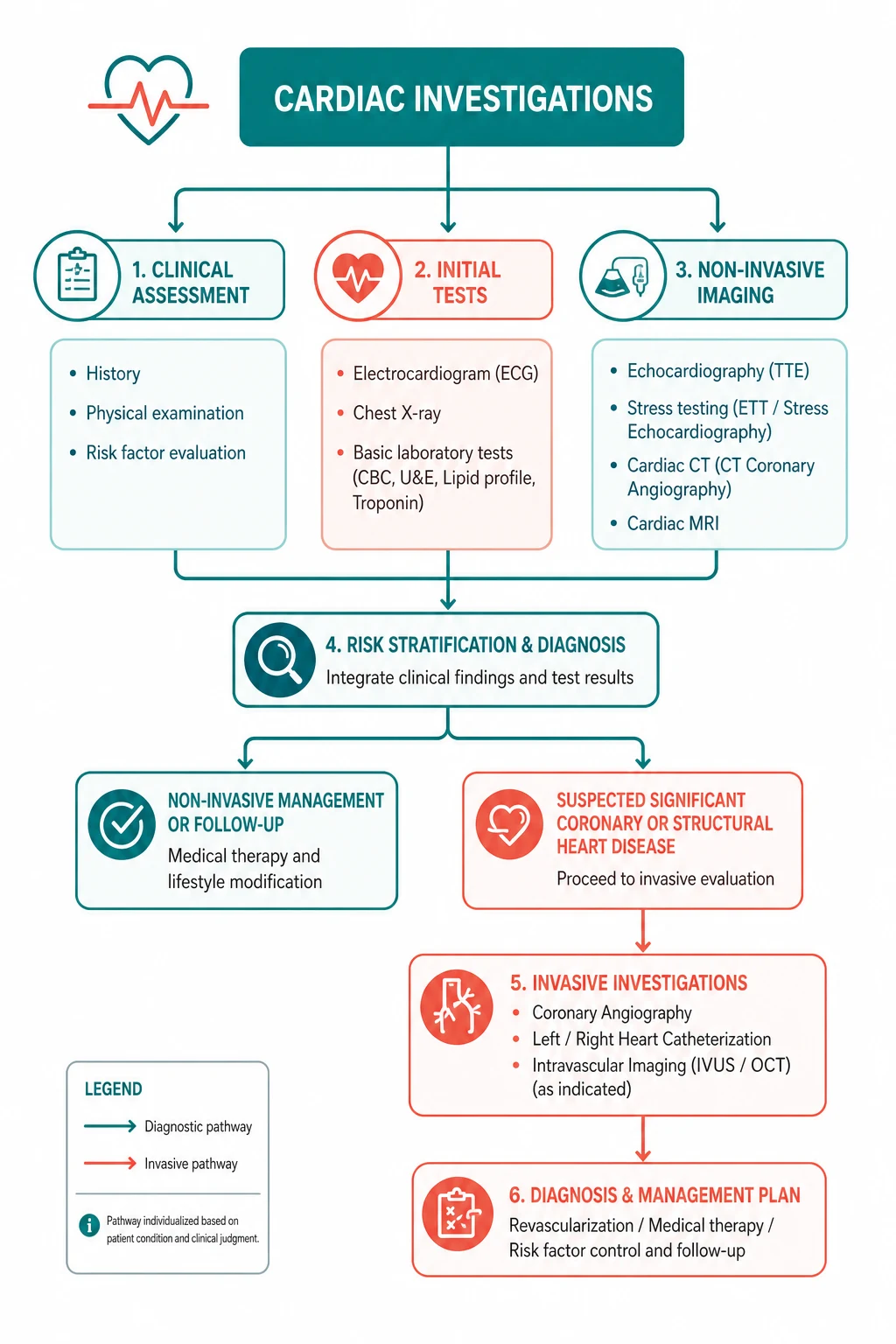 Pathophysiology for cardiac investigations