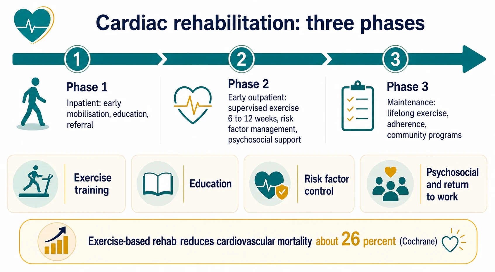 Cardiac rehabilitation — three phases from inpatient mobilisation to lifelong maintenance, with its four components