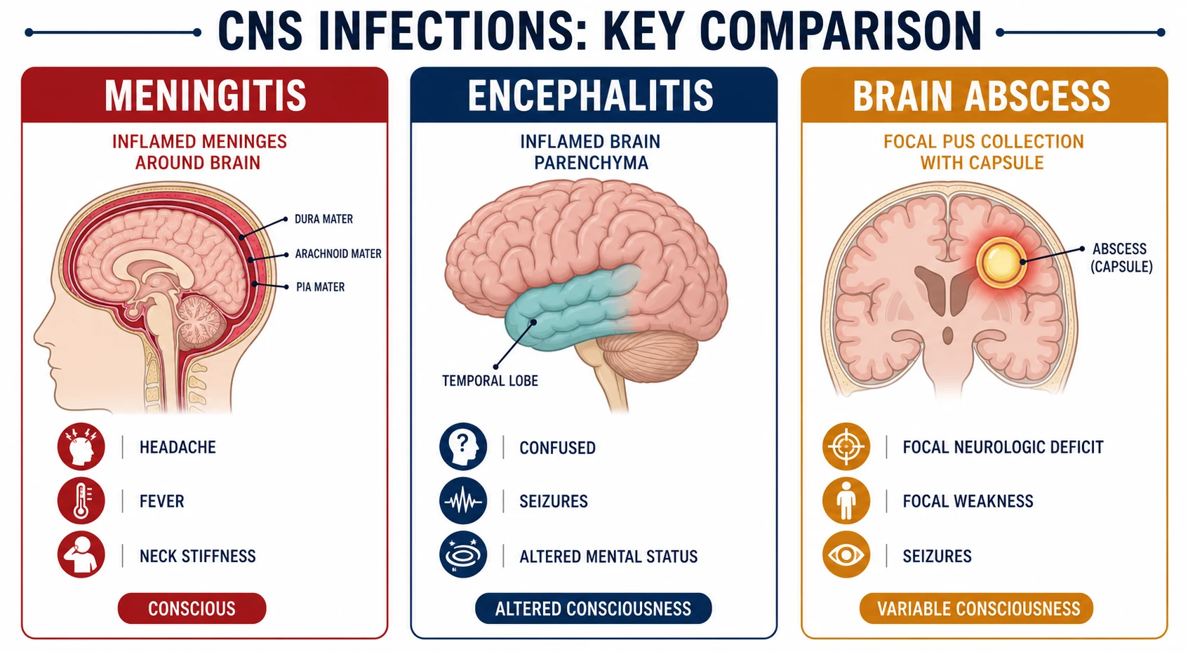 Meningitis vs encephalitis vs brain abscess — clinical-anatomic discrimination