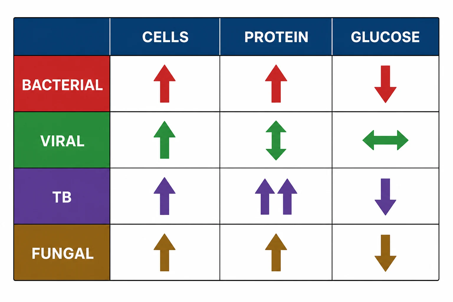 CSF patterns: bacterial vs viral vs TB vs fungal meningitis