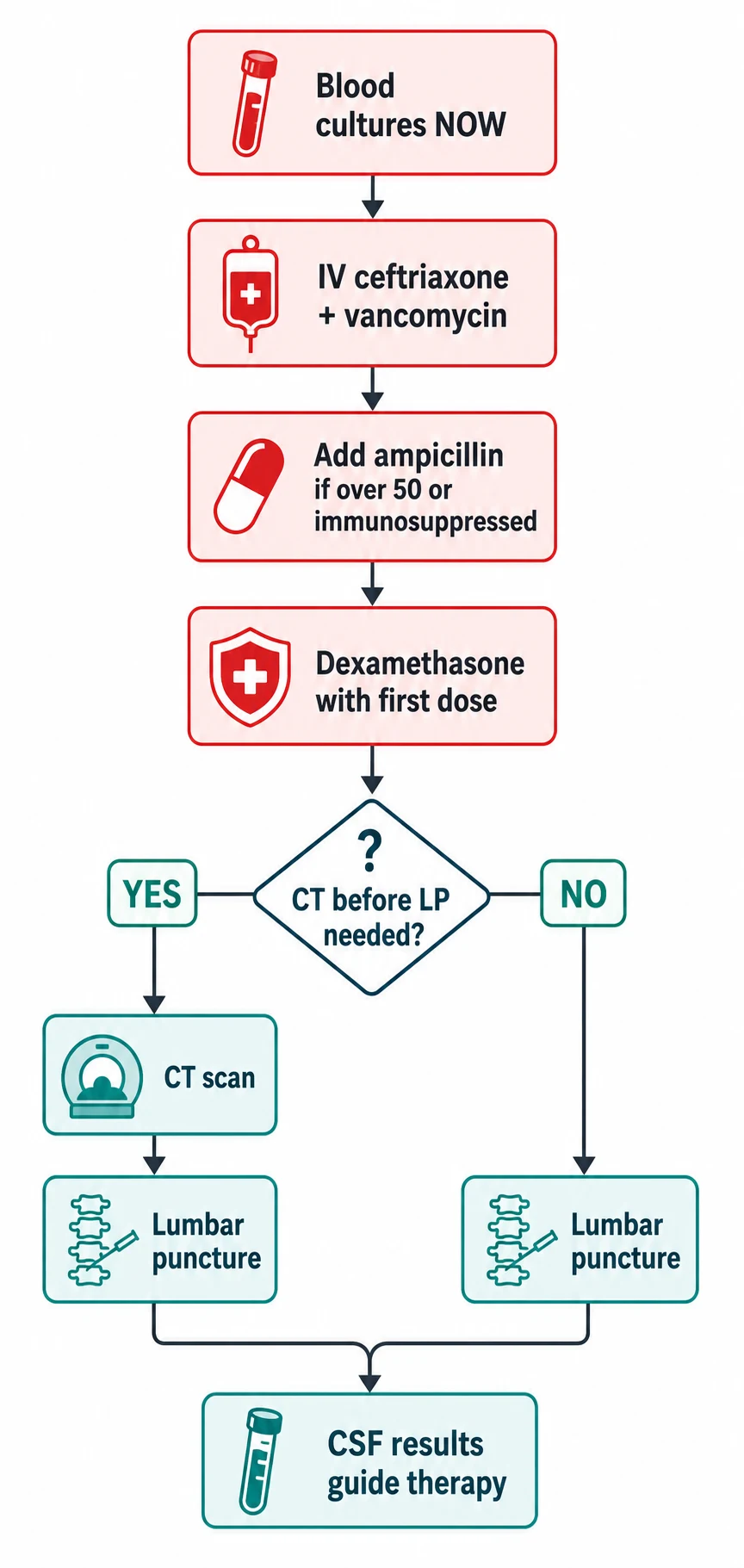 Suspected bacterial meningitis: cultures, antibiotics, steroids, then CT/LP decision