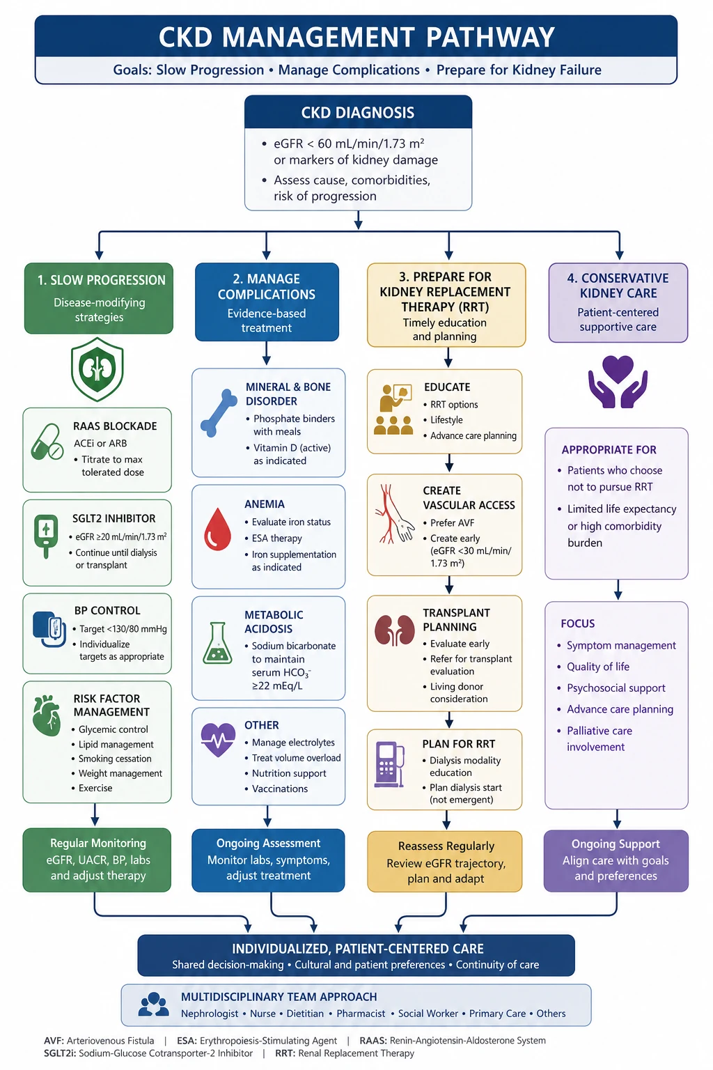 CKD management algorithm — progression-slowing therapy (RAAS, SGLT2i, finerenone, BP control), complication management, and dialysis planning