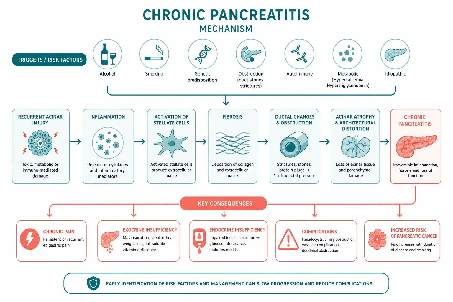 Pathophysiology of chronic pancreatitis