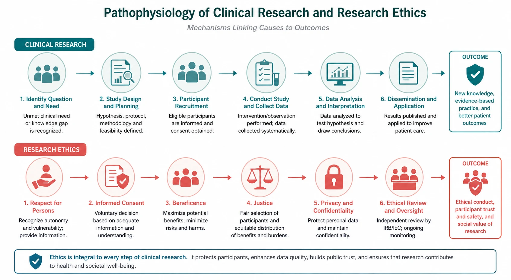 Pathophysiology mechanism diagram for Clinical Research AND Research Ethics.
