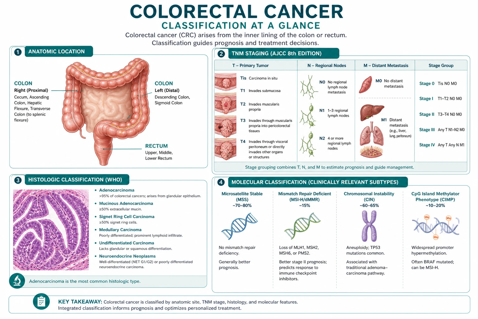 Classification for colorectal cancer