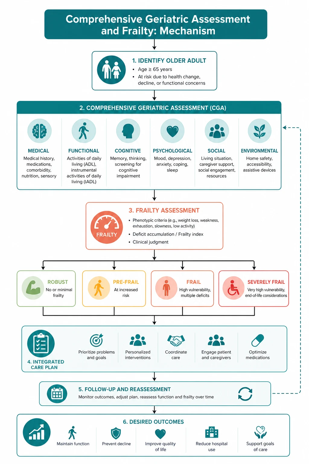 Pathophysiology for comprehensive geriatric assessment and frailty