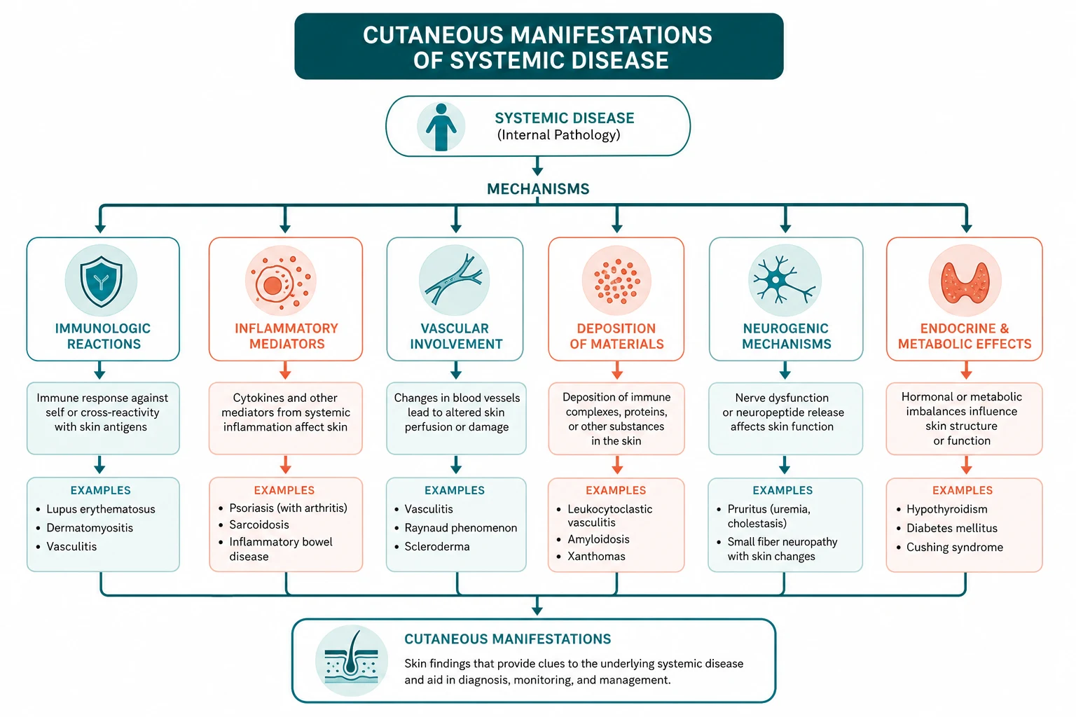 Pathophysiology for cutaneous manifestations systemic disease
