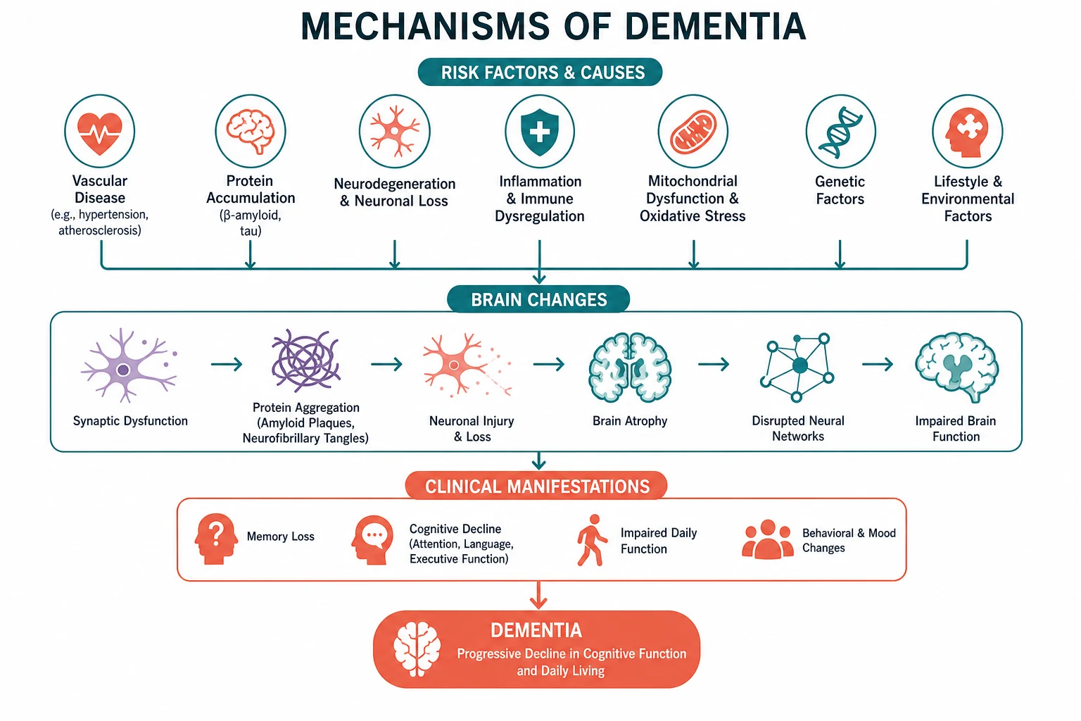 Pathophysiology for dementia