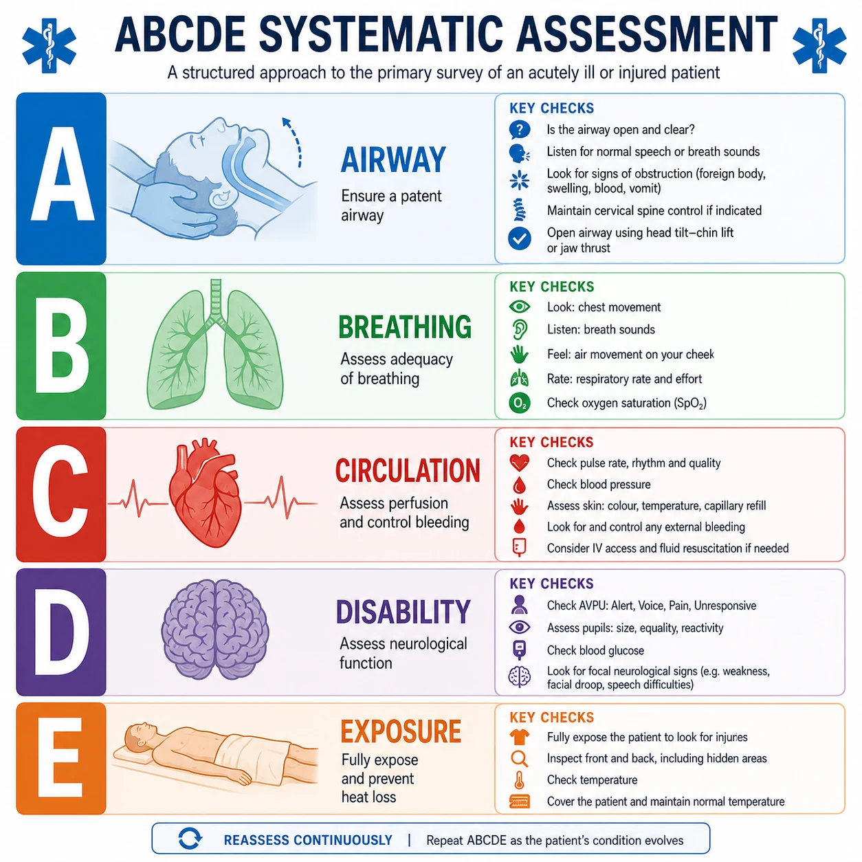 The ABCDE approach — airway, breathing, circulation, disability, exposure, with the key action at each step and the order of priority