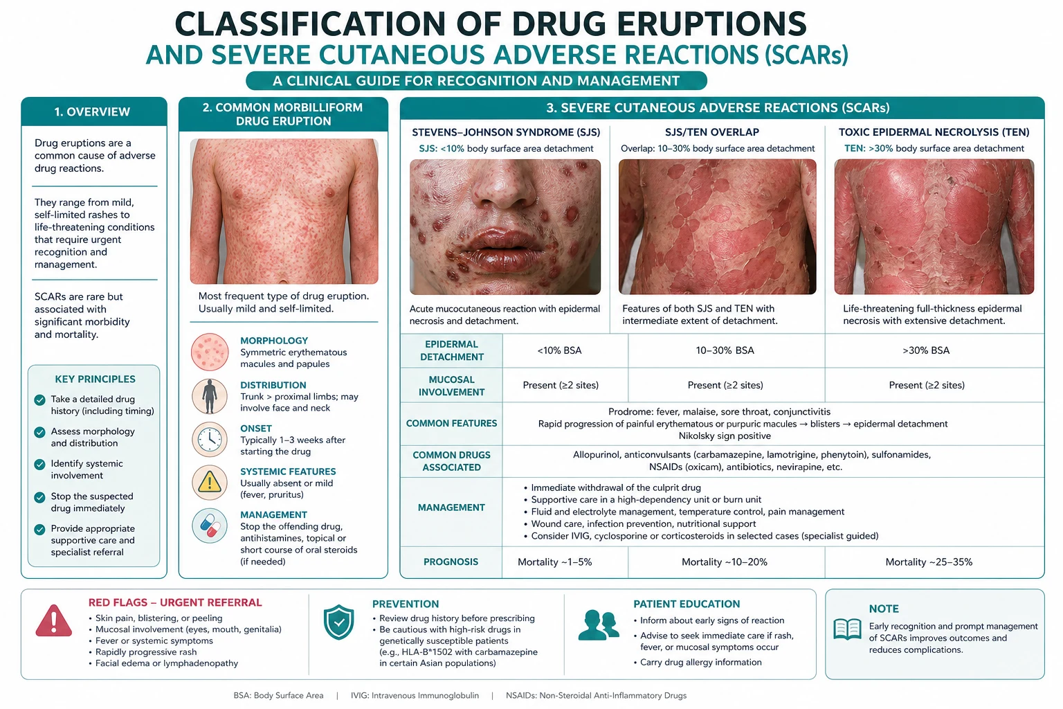 Classification diagram for Drug Eruptions AND Severe Cutaneous Adverse Reactions.