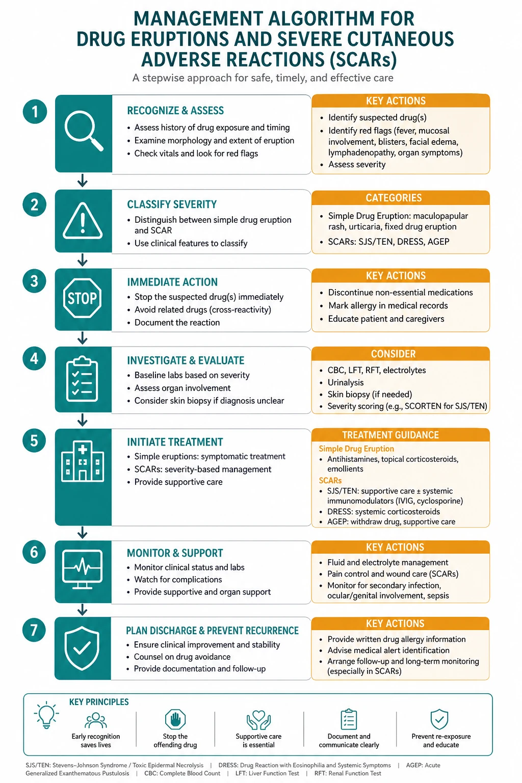 Stepwise management algorithm for Drug Eruptions AND Severe Cutaneous Adverse Reactions.