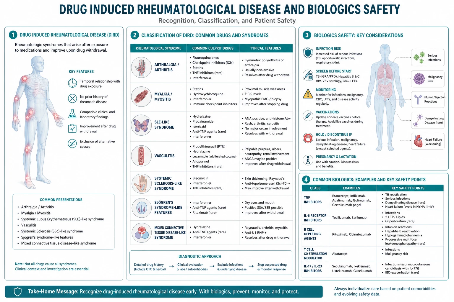 Classification diagram for Drug Induced Rheumatological Disease AND Biologics Safety.