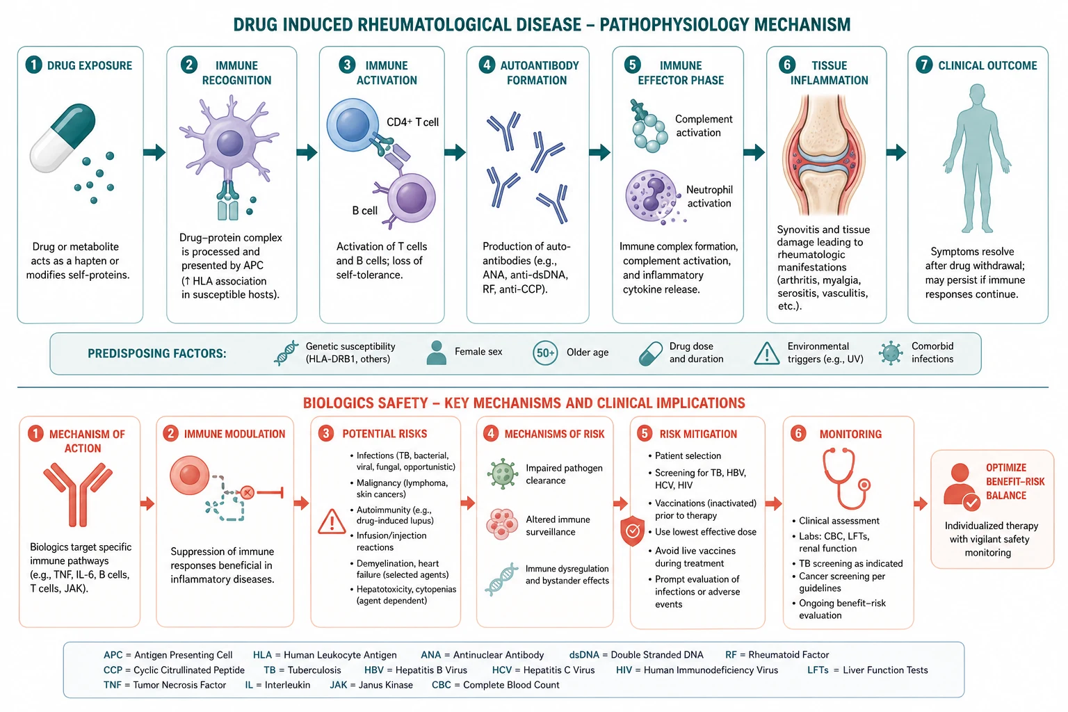 Pathophysiology mechanism diagram for Drug Induced Rheumatological Disease AND Biologics Safety.
