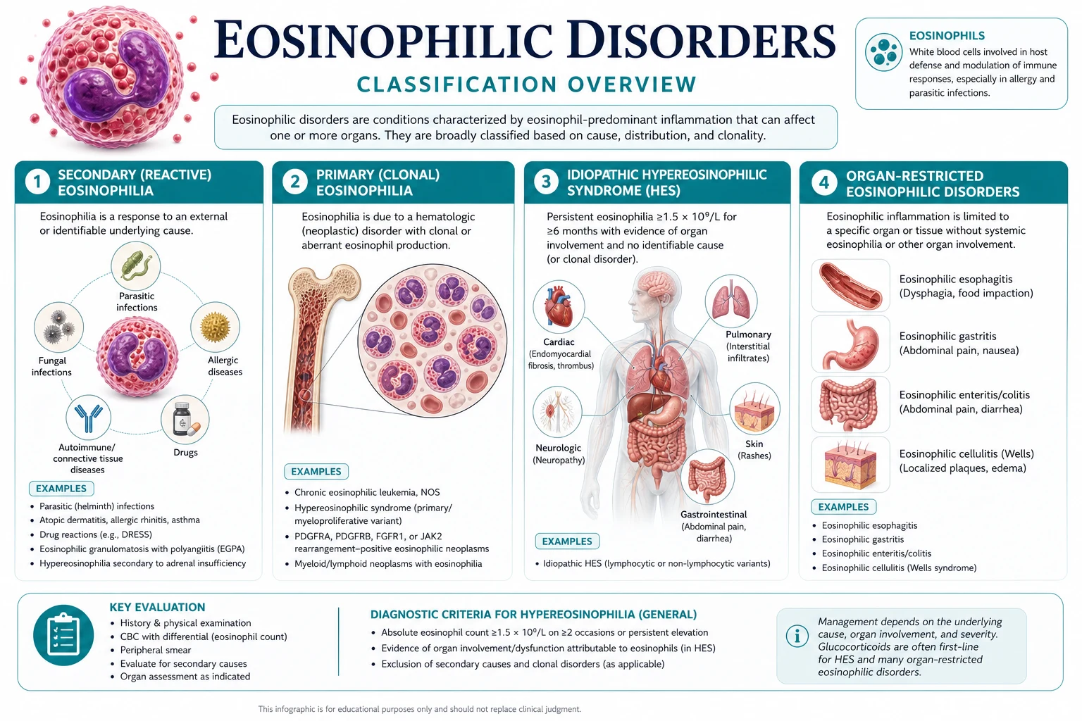 Classification diagram for Eosinophilic Disorders.