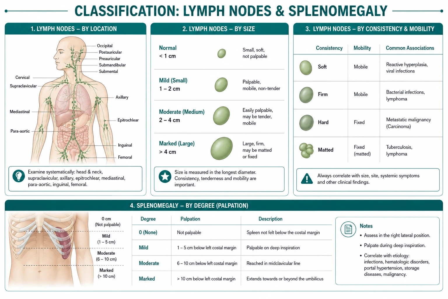 Classification for examination lymph nodes and splenomegaly