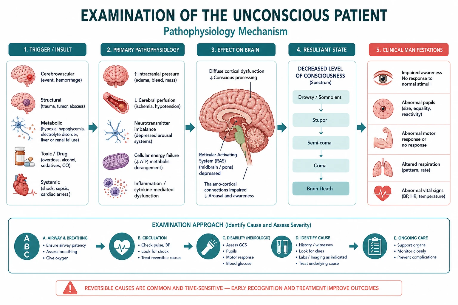 Pathophysiology mechanism diagram for Examination OF THE Unconscious Patient.
